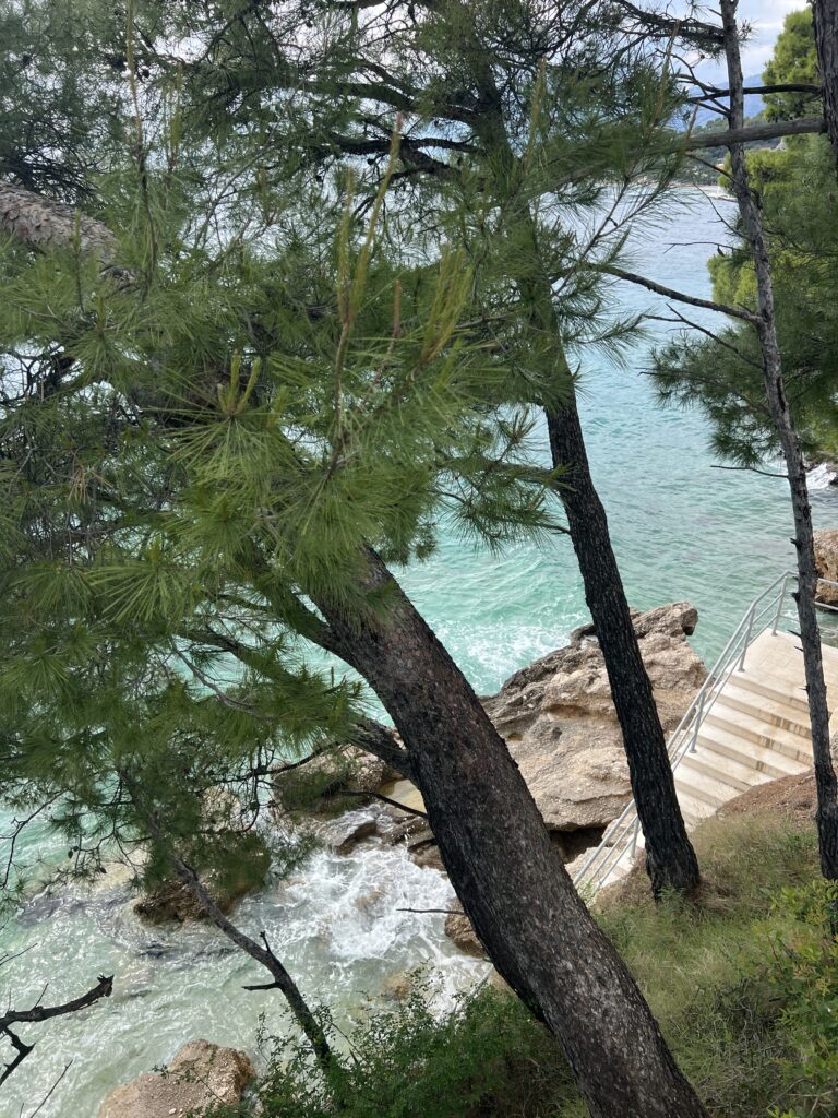 Promenade en bord de mer